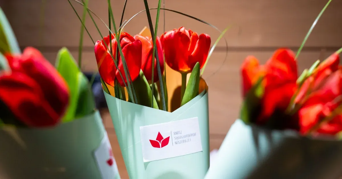 Hogyan (nem) ünneplik a nők hónapját a székelyföldi önkormányzatok és mit (nem)...