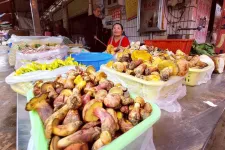 Létezik egy ázsiai gomba, amitől mindenki kis embereket hallucinál