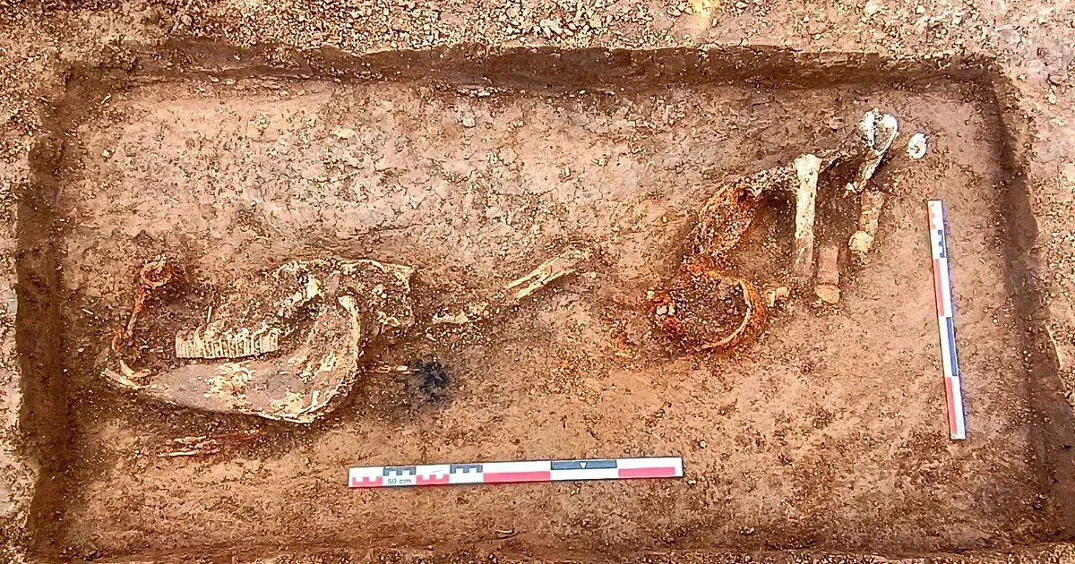 Középkori, szimbolikus lósírt találtak Neamț megyében, az A8-as autópálya...