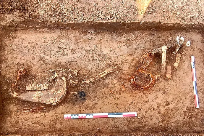 Középkori, szimbolikus lósírt találtak Neamț megyében, az A8-as autópálya nyomvonalán