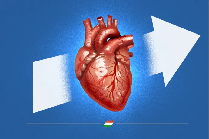 Szántó T. Gábor: Szívátültetés