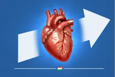 Szántó T. Gábor: Szívátültetés