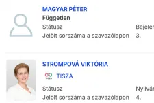 A másik Magyar Péter és Tisza Péter is indulhat a választáson