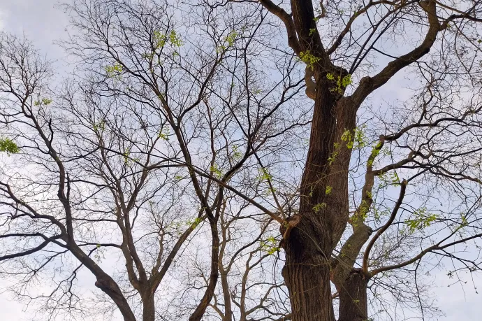 Még napokig derűs, esőmentes időnk lesz