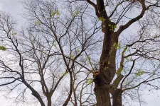 Még napokig derűs, esőmentes időnk lesz