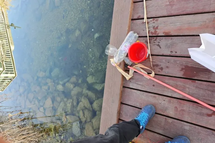 Díszhalakat akartak fogni a Vizafogó parkban