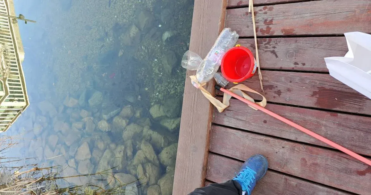 Díszhalakat akartak fogni a Vizafogó parkban