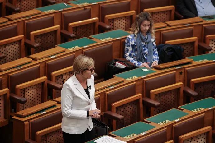 Fotó: Hevesi-Szabó Lujza / Telex