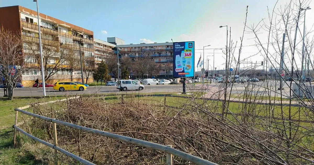 Kétszer megrongálták, harmadszorra lekaszabolták a Miyawaki-erdőt a Soroksári úton