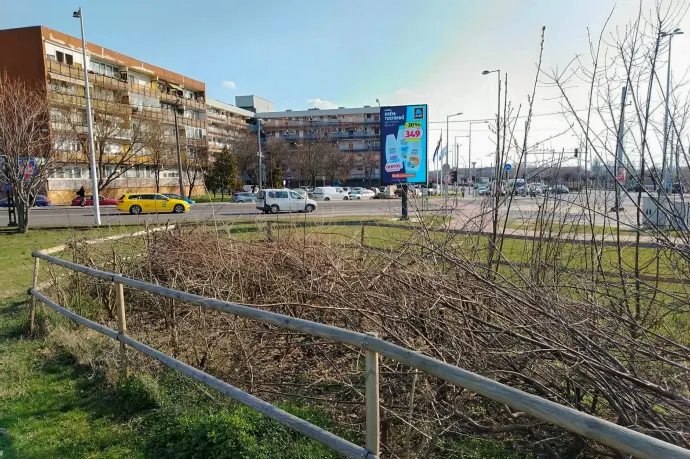 Kétszer megrongálták, harmadszorra lekaszabolták a Miyawaki-erdőt a Soroksári úton