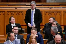 Két ügyben is felfüggesztették Hadházy Ákos mentelmi jogát