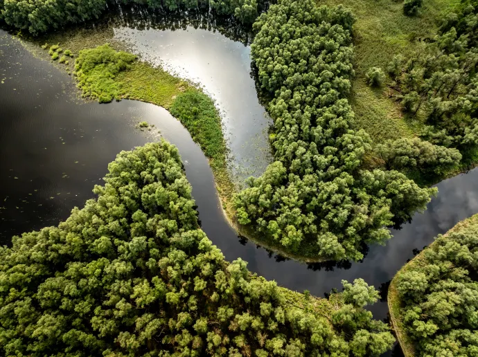 Kopácsi-rét Natúrpark, Fotó: Julien Duval