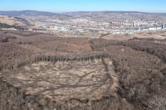 Eltűnt két hektár erdő a Hójából, a terület védetté nyilvánítását követelik