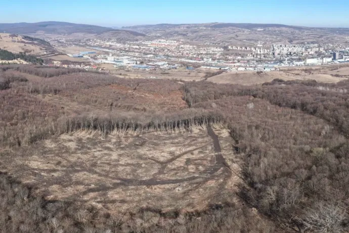 Eltűnt két hektár erdő a Hójából, a terület védetté nyilvánítását követelik