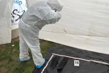 Holttestet találtak egy belvárosi játszótéren Szekszárdon, a rendőrség szerint megölhették az áldozatot