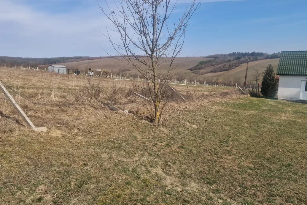 Farkasfalka támadhatott rá szarvasokra, amik ijedtükben lebontották egy borsodi falu temetőkerítését