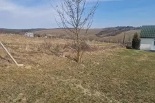 Farkasfalka támadhatott rá szarvasokra, amik ijedtükben lebontották egy borsodi falu temetőkerítését