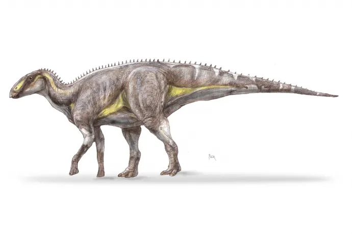 Új kacsacsőrű dinoszauruszfajt fedeztek fel magyar kutatók Erdélyben