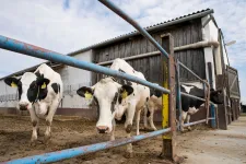 Lázár feleslegesen aggódik, döntően magyar tejet találtunk a boltok polcain