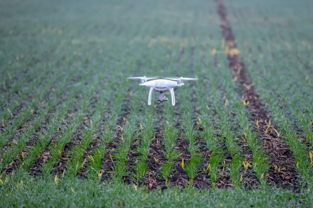 Az állítólagos ukrán fenyegetés miatt elrendelt dróntilalom miatt most nem tudnak permetezni a gazdák Szabolcsban