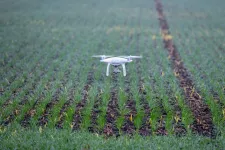 Nem tudnak permetezni a gazdák Szabolcsban, mert dróntilalom van az állítólagos ukrán fenyegetés miatt