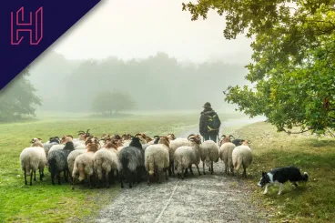 Tényleg vakon követjük a tömeget?