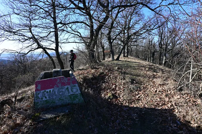 A Káva és a Jáger-rét – Fotó: Tenczer Gábor / Telex