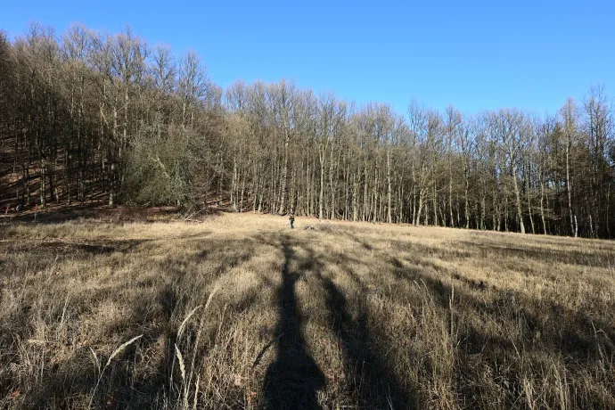 A Káva és a Jáger-rét – Fotó: Tenczer Gábor / Telex