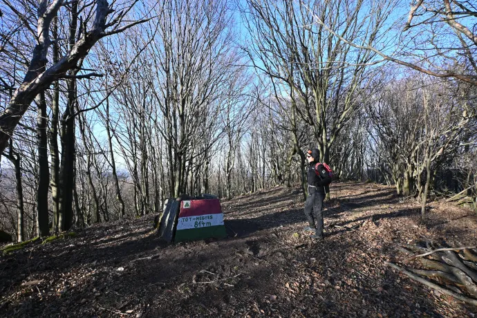 Tót-hegyes – Fotó: Tenczer Gábor / Telex