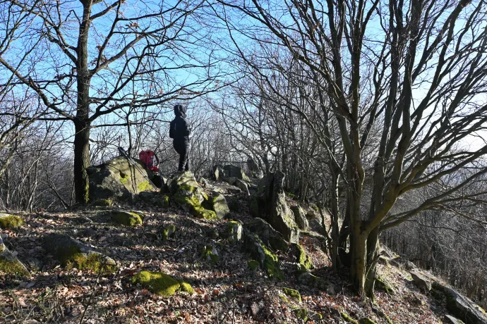 Tót-hegyes – Fotó: Tenczer Gábor / Telex