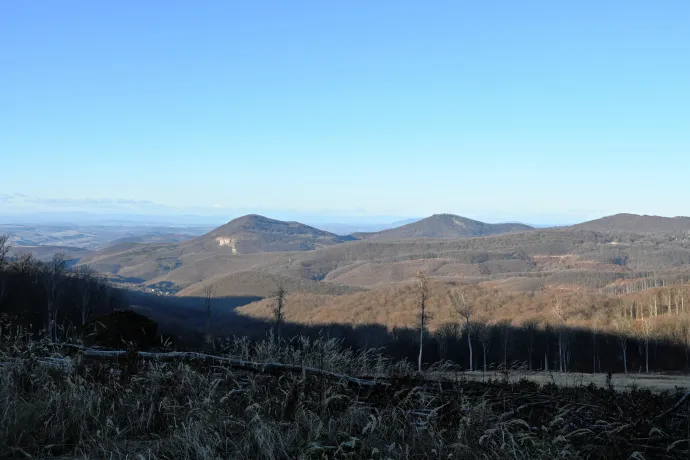 Tót-hegyes – Fotó: Tenczer Gábor / Telex