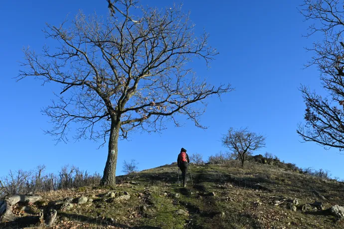 A Világos-hegy – Fotó: Tenczer Gábor / Telex