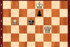 Sakkfeladvány a Telexen: egy apró finomság hozza el a sötét király végzetét