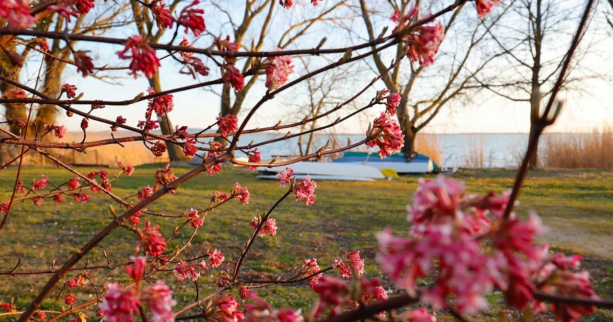 Napsütéses hétvégénk lesz, csak futó záporok zavarhatnak.