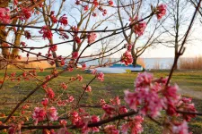 Napsütéses hétvégénk lesz, csak futó záporok zavarhatják meg a nemzeti ünnepet