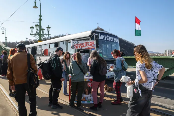 Fotó: Melegh Noémi Napsugár / Telex