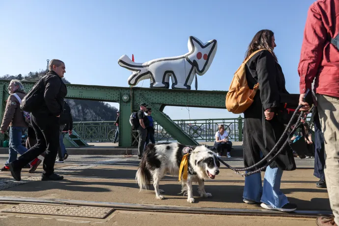 Fotó: Melegh Noémi Napsugár / Telex