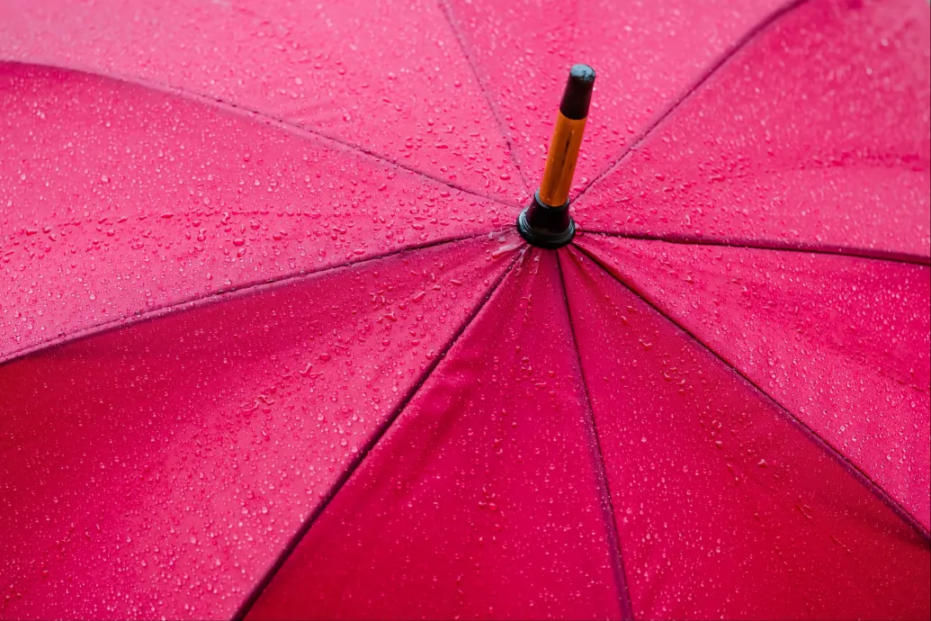 Jön egy kis lehűlés és eső, de gyorsan vissza is tér a tavasz