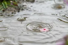 Kedvromboló, borús idő lesz kedden, jégdarazápor is előfordulhat