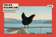 Pálfi György bajkeverő tyúkját nézhetjük a márciusi Telex Filmklubon