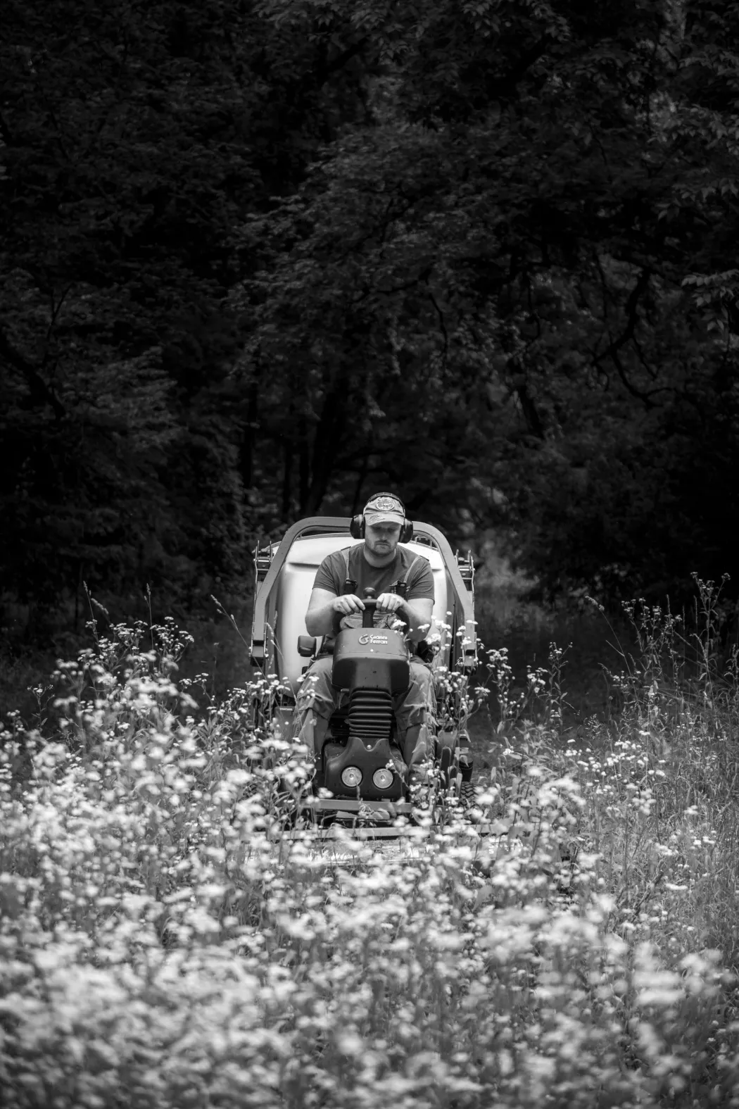 Norbert nyírja a füvet. A tájképi kert fontos alkotóelemei a rétek és tisztások. A gyepfelületek szakszerű gondozást igényelnek, ez tavasztól őszig a kertészek rendszeres feladata – Fotó: Urbán Ádám