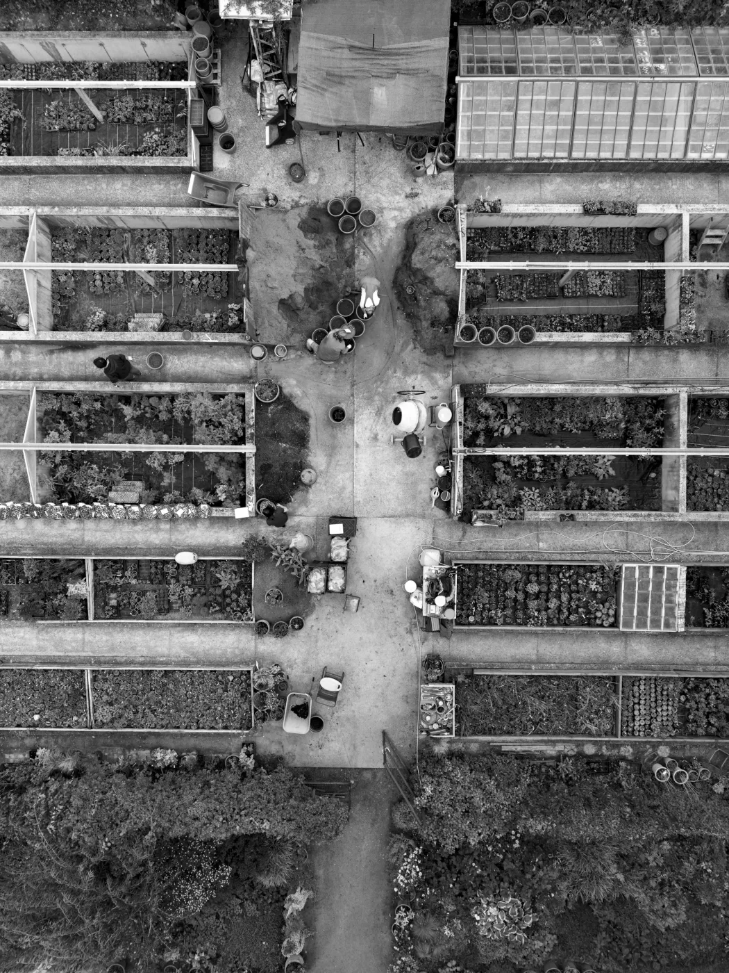 A mélyágyások között, az úgynevezett ketrecben egész évben folyamatos a munka – Fotó: Urbán Ádám