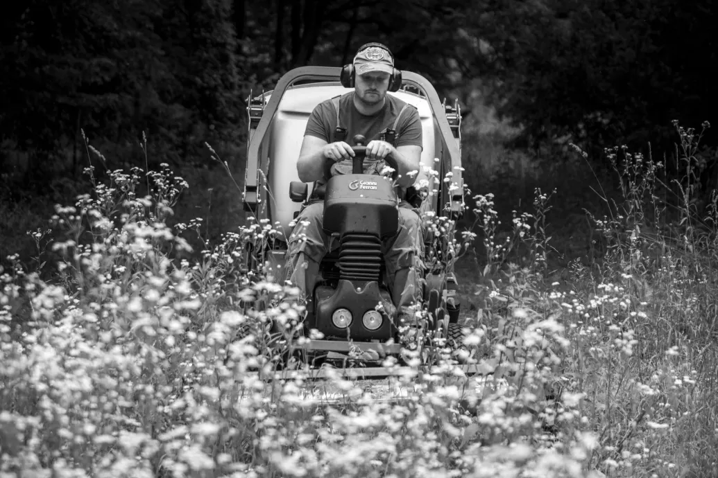 A botanikus kert titkos élete