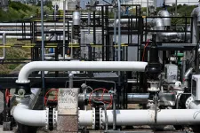 Deliveries via Friendship oil pipeline could resume by end of April, EU also to participate in repairs