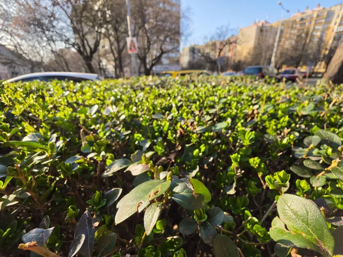 Az első két kép az S26 Ultrával készült, a másik kettő az S26-tal – Fotó: Flachner Balázs / Telex