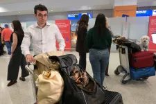 Több tucat háziállatot evakuált a Közel-Keletről Görögország
