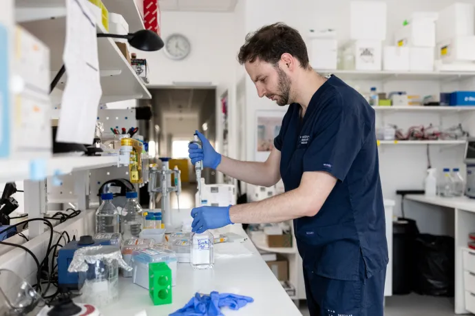 Új magyar fejlesztés adhat reményt a nehezen kezelhető epilepsziás betegeknek