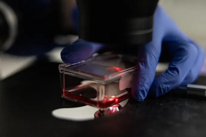 Fotó: Bődey János / Telex