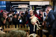 Nagy csata várható Párizstól Marseille-ig a francia helyhatósági választásokon, amiket már az elnökválasztás főpróbájának tartanak