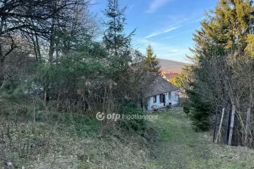 Saját édenkerted lehet a Tisza-parton vagy az erdő mélyén ebben a három kisházban